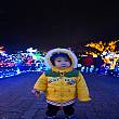 돌산공원-빛축제